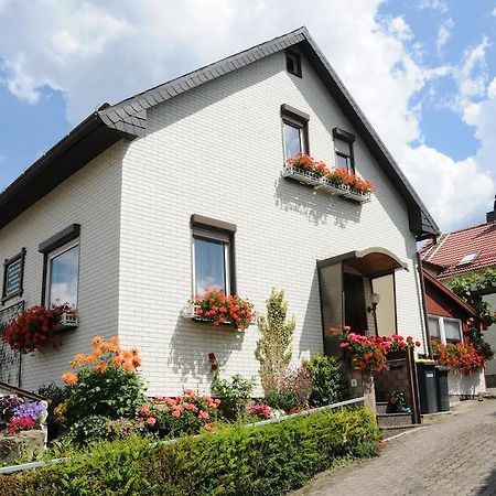 Ferienwohnung Bradsch Ilmenau Rom bilde