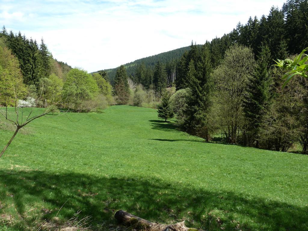 Ferienwohnung Bradsch Ilmenau Rom bilde