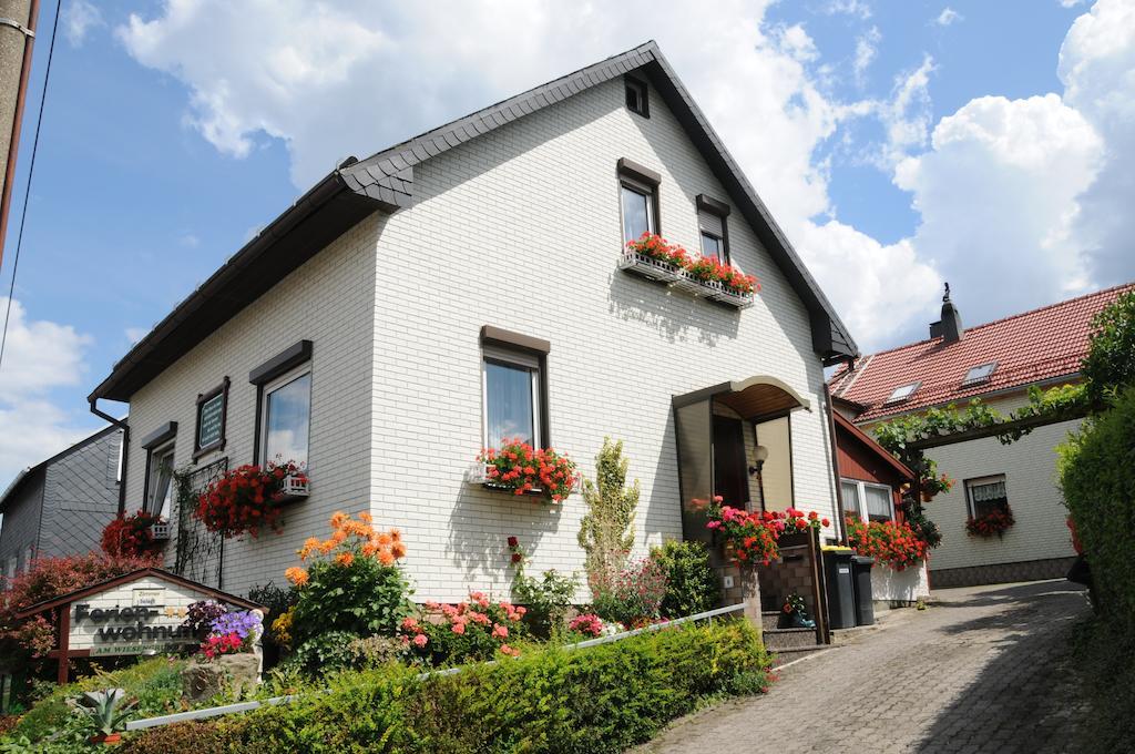 Ferienwohnung Bradsch Ilmenau Rom bilde